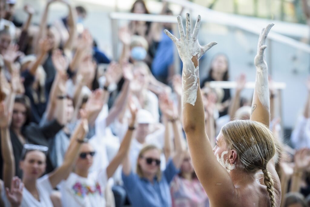 Lietuvos festivalių kreipimasis į užsienio partnerius